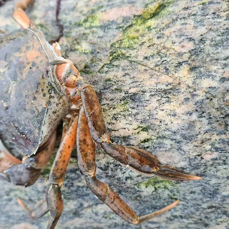 Piratennest Dom wakacyjny